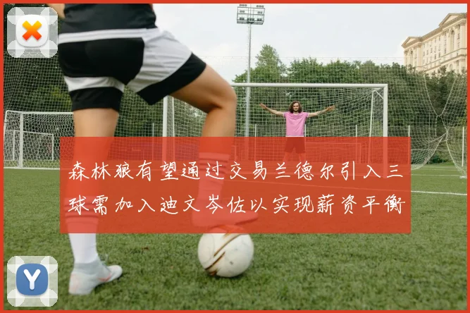 森林狼有望通过交易兰德尔引入三球需加入迪文岑佐以实现薪资平衡